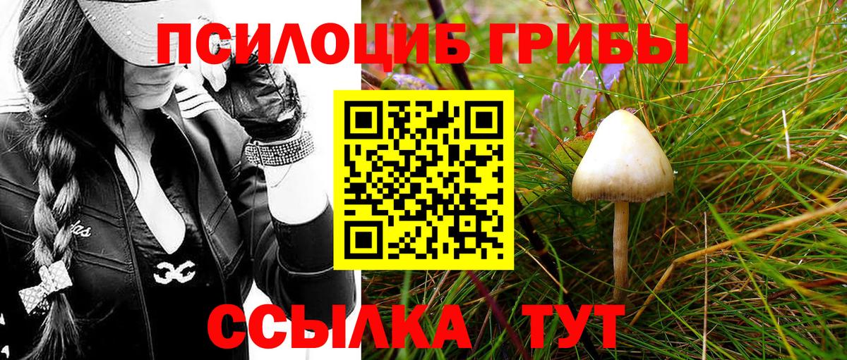 Галлюциногенные грибы GOLDEN TEACHER Ярцево