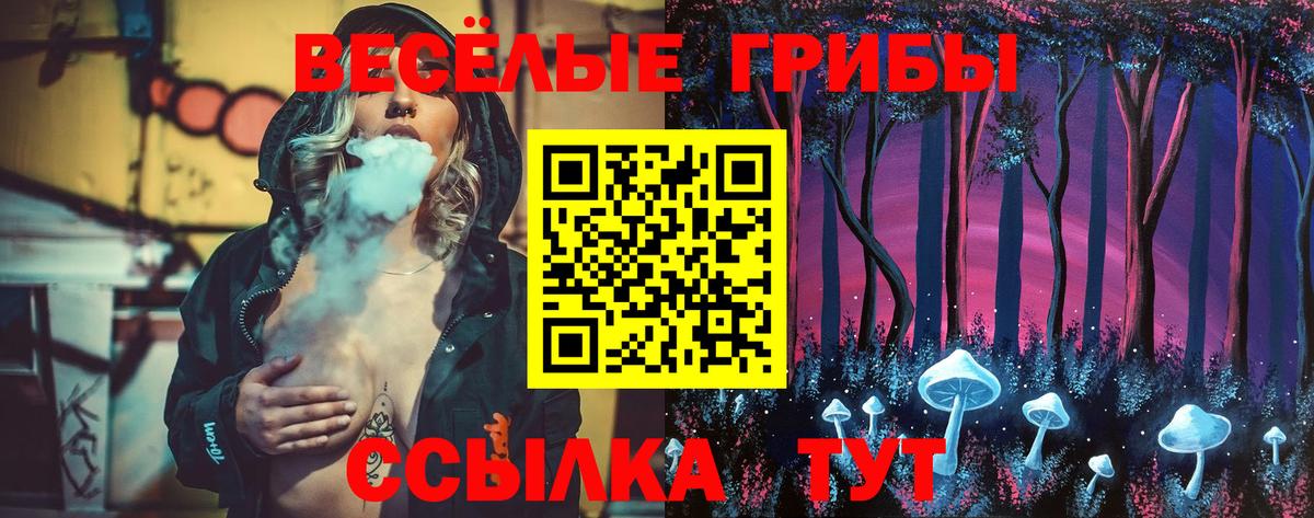 Псилоцибиновые грибы Magic Shrooms  Галлюциногенные грибы ЛСД  Вход с VPN  Ярцево 